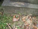 image of grave number 366212